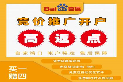 竞价广告案例分析：跨媒体广告投放策略